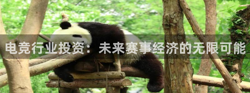 蜂鸟电竞：电竞行业投资：未来赛事经济的无限可能