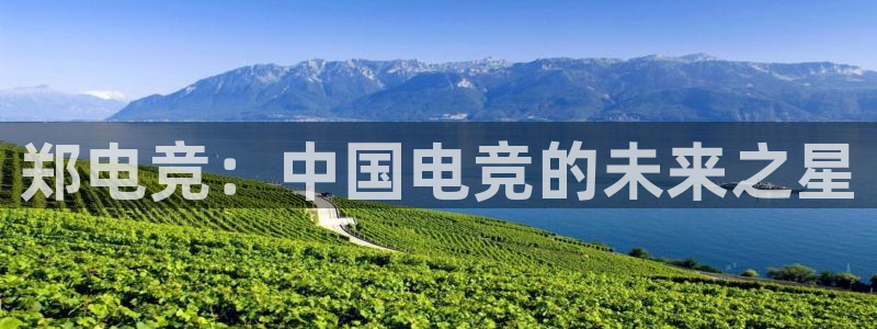 蜂鸟电竞多少钱一小时：郑电竞：中国电竞的未来之星
