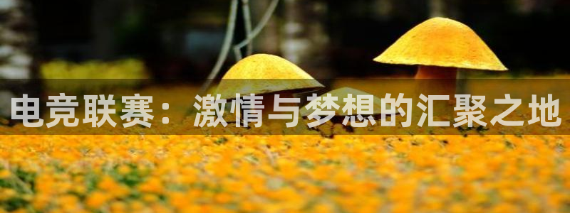 蜂鸟电竞直播入口：电竞联赛：激情与梦想的汇聚之地