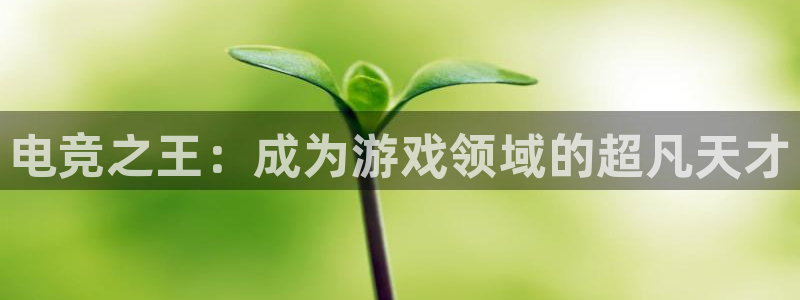 蜂鸟电竞怎么注册：电竞之王：成为游戏领域的超凡天才