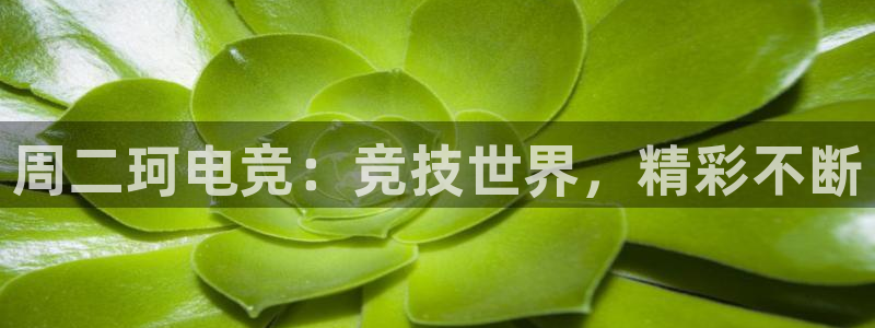 蜂鸟电竞多少钱一小时：周二珂电竞：竞技世界，精彩不断