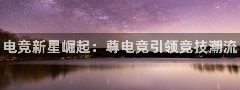 蜂鸟电竞全国多少门店啊：电竞新星崛起：尊电竞引领竞技潮流