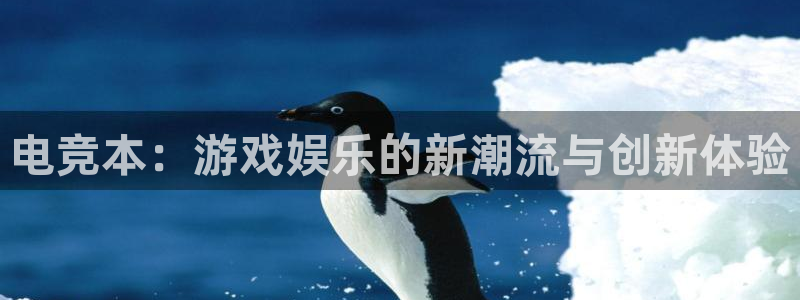 蜂鸟电竞app官方下载：电竞本：游戏娱乐的新潮流与创新体验