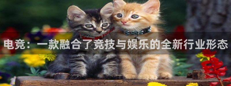 蜂鸟电竞下载：电竞：一款融合了竞技与娱乐的全新行业形态
